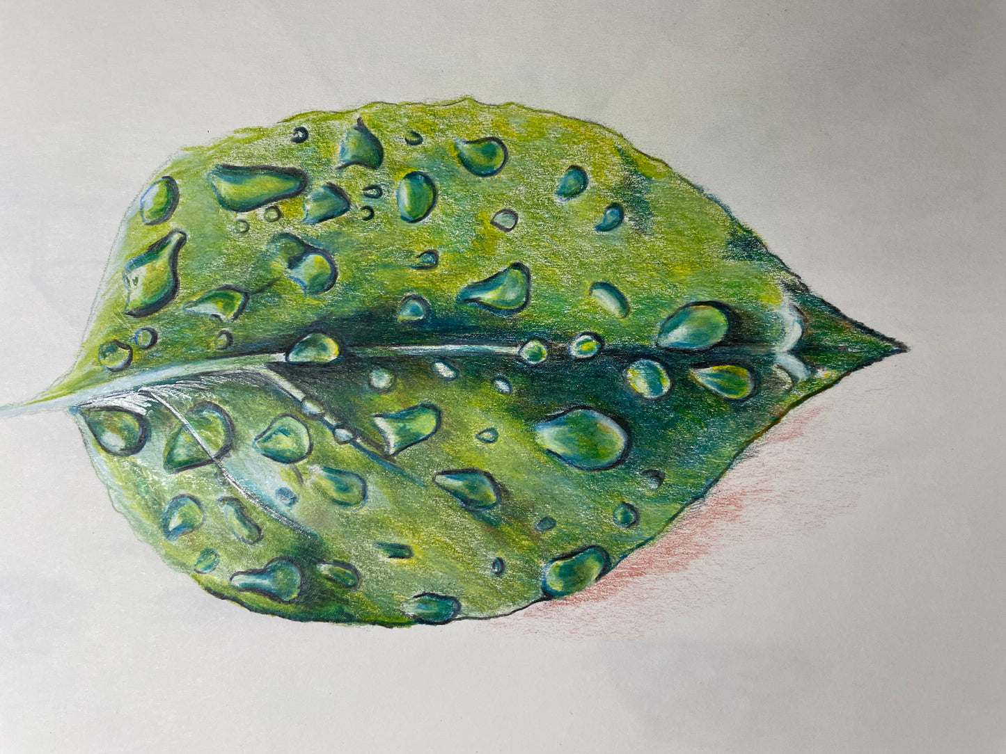 Colored Pencil – From Everyday to Extraordinary