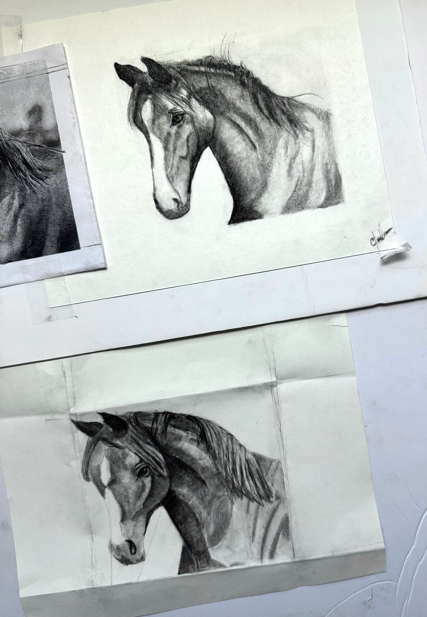 5 Week Introduction to Fundamentals of Drawing