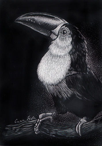 “Tropical Whimsy" – Toucan Scratchboard Art by anna Festa