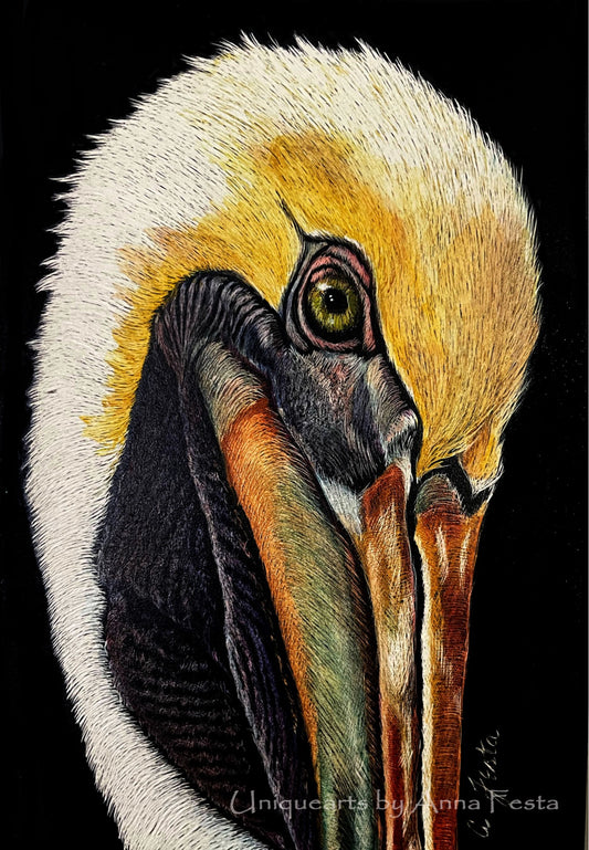 Posing – Scratchboard Fine Art by Anna Festa