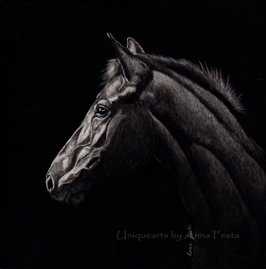 Magnificence – Scratchboard Horse Portrait by Unique Arts by Anna Festa