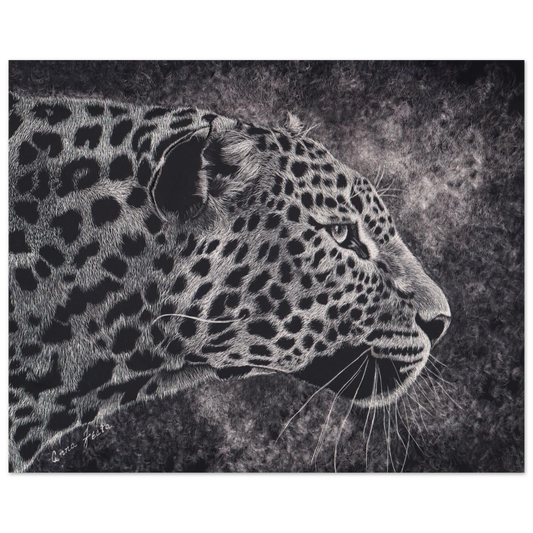 5f561991-7979-49c4-8412-47a0bcacbe6e