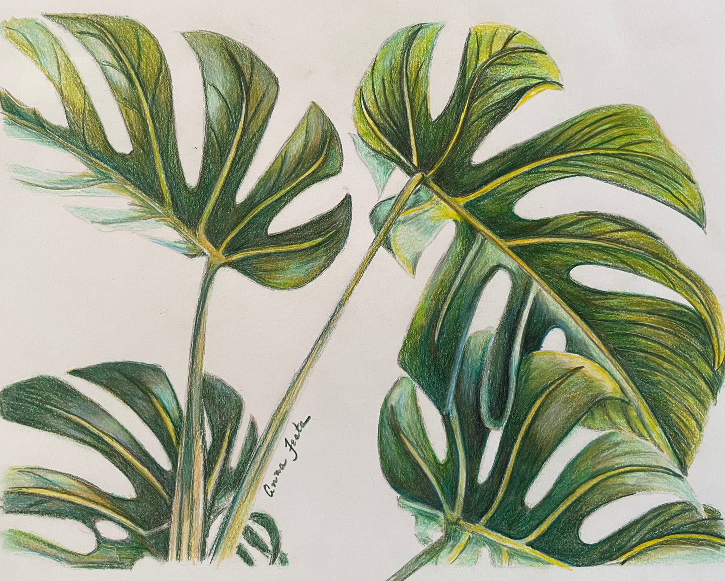 “Verdant Whispers” – 8x10 Colored Pencil Drawing