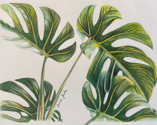 “Verdant Whispers” – 8x10 Colored Pencil Drawing