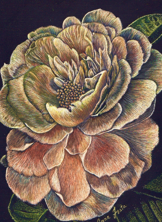 Eternal Bloom - detailed Scratchboard by Anna Festa
