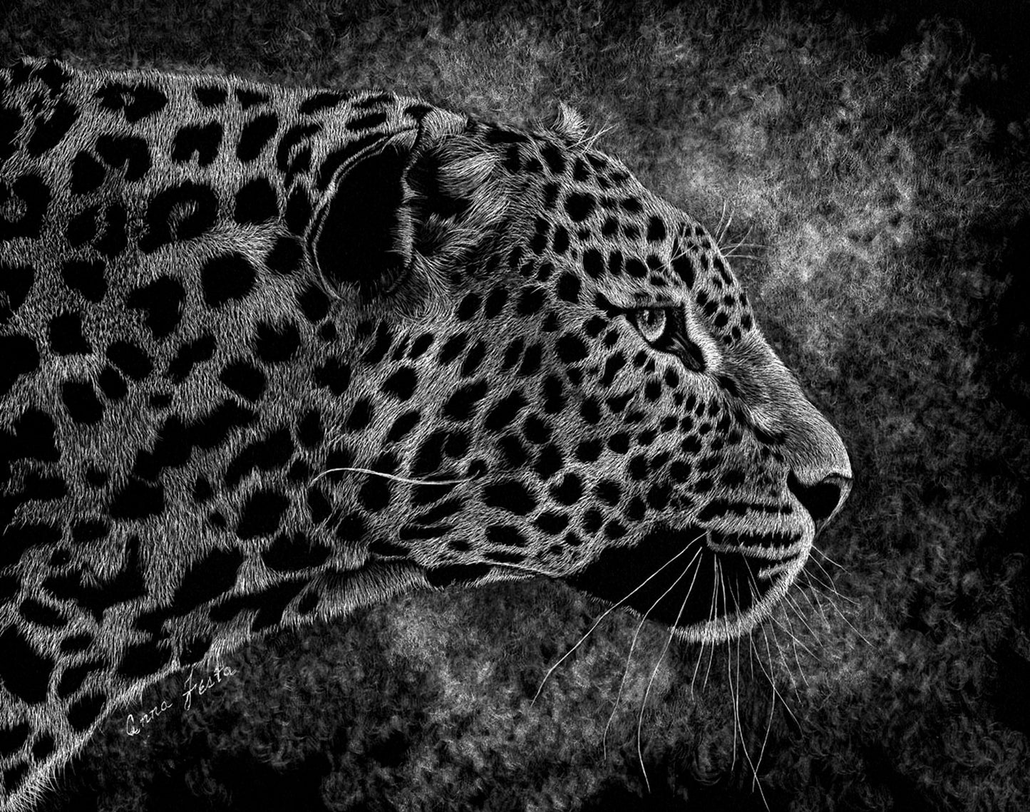 Focused  Museum quality Print