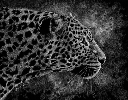 Focused  Museum quality Print