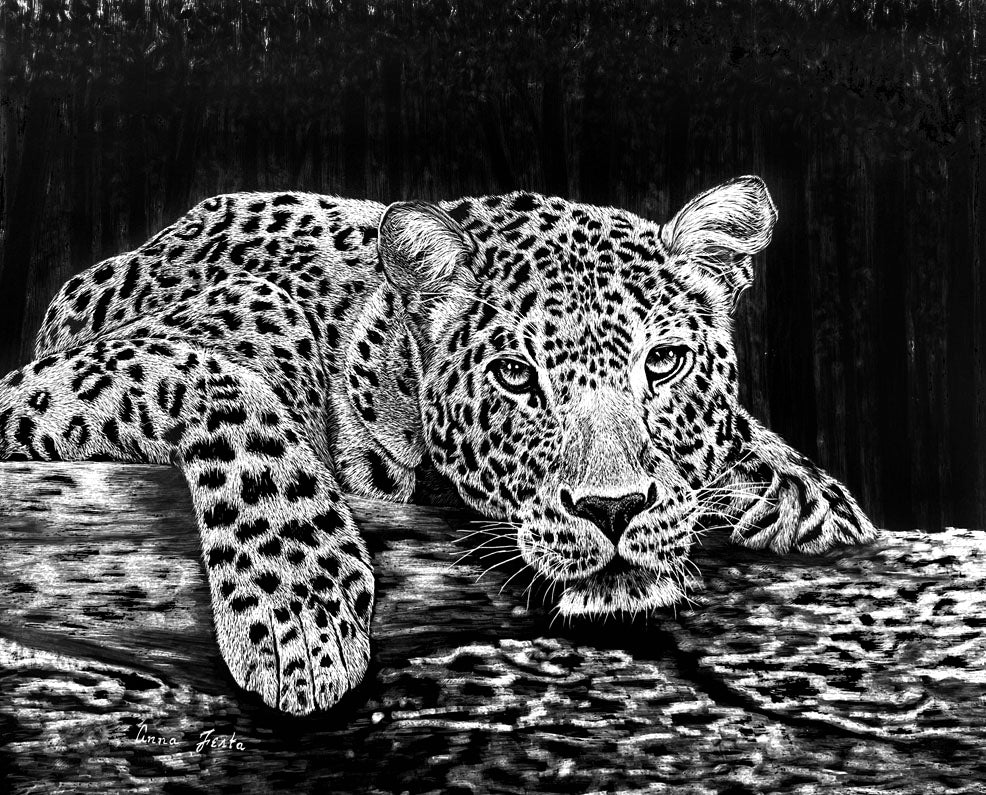 Fine Art Print – “Silent Watch: Guardian of the Wild” (9 x 12 & 11 x 14)