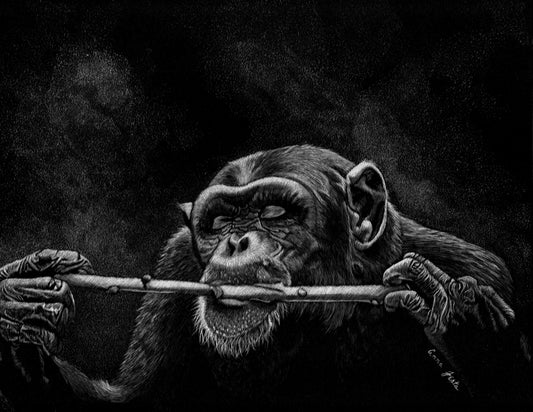 Sublime Scratchboard by Anna Festa