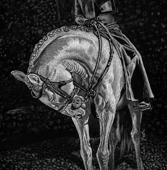 The Bow – Scratchboard Fine Art by Anna Festa