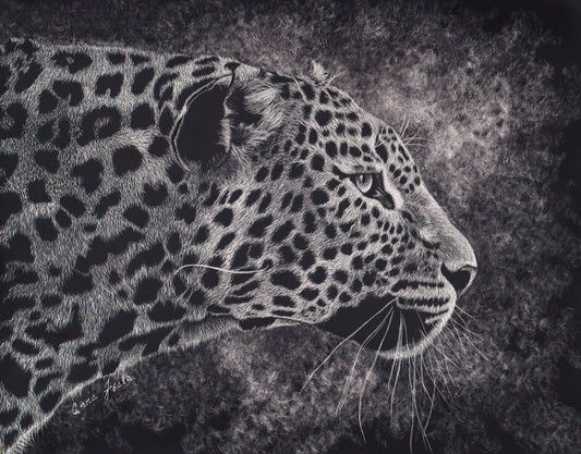 Focused – Scratchboard Leopard Art by Anna Festa | Mindful Animal Artwork