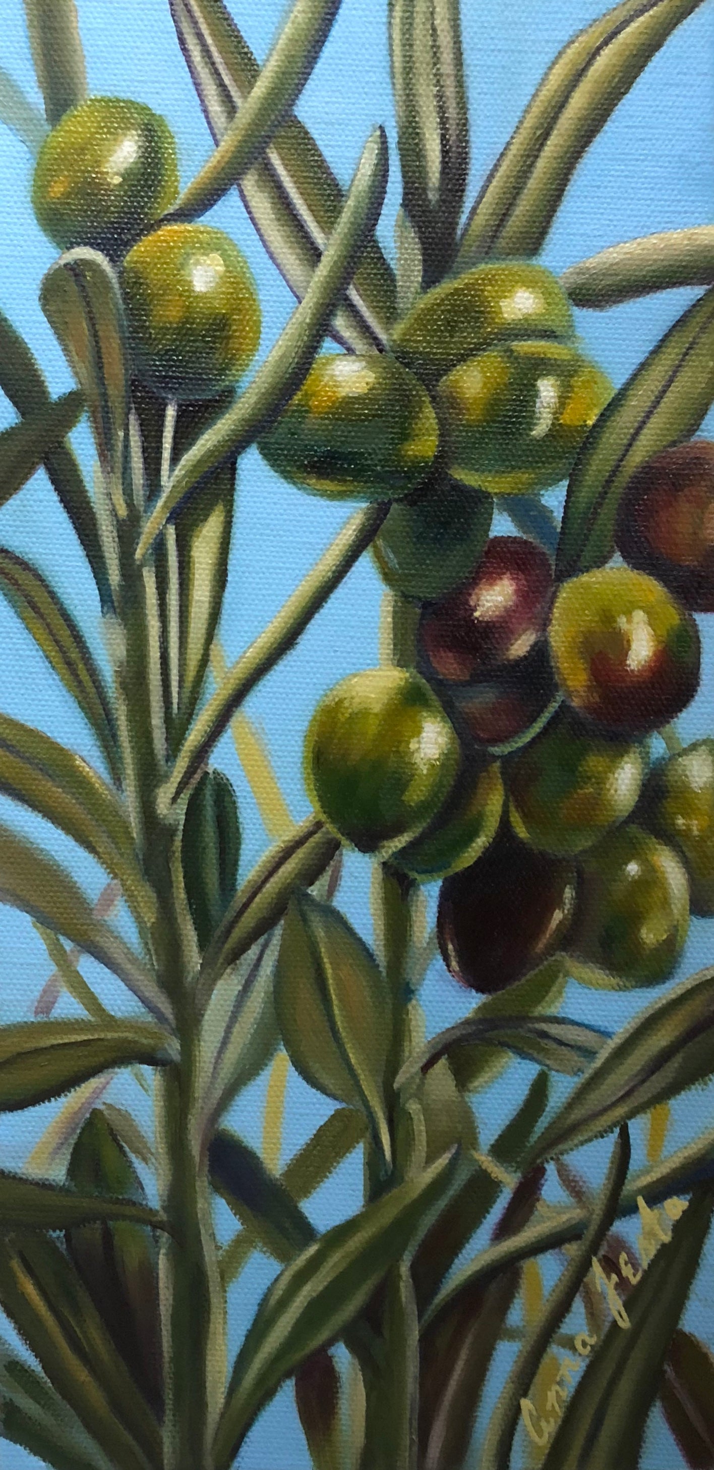 “Mediterranean Gold” Oil by Anna Festa