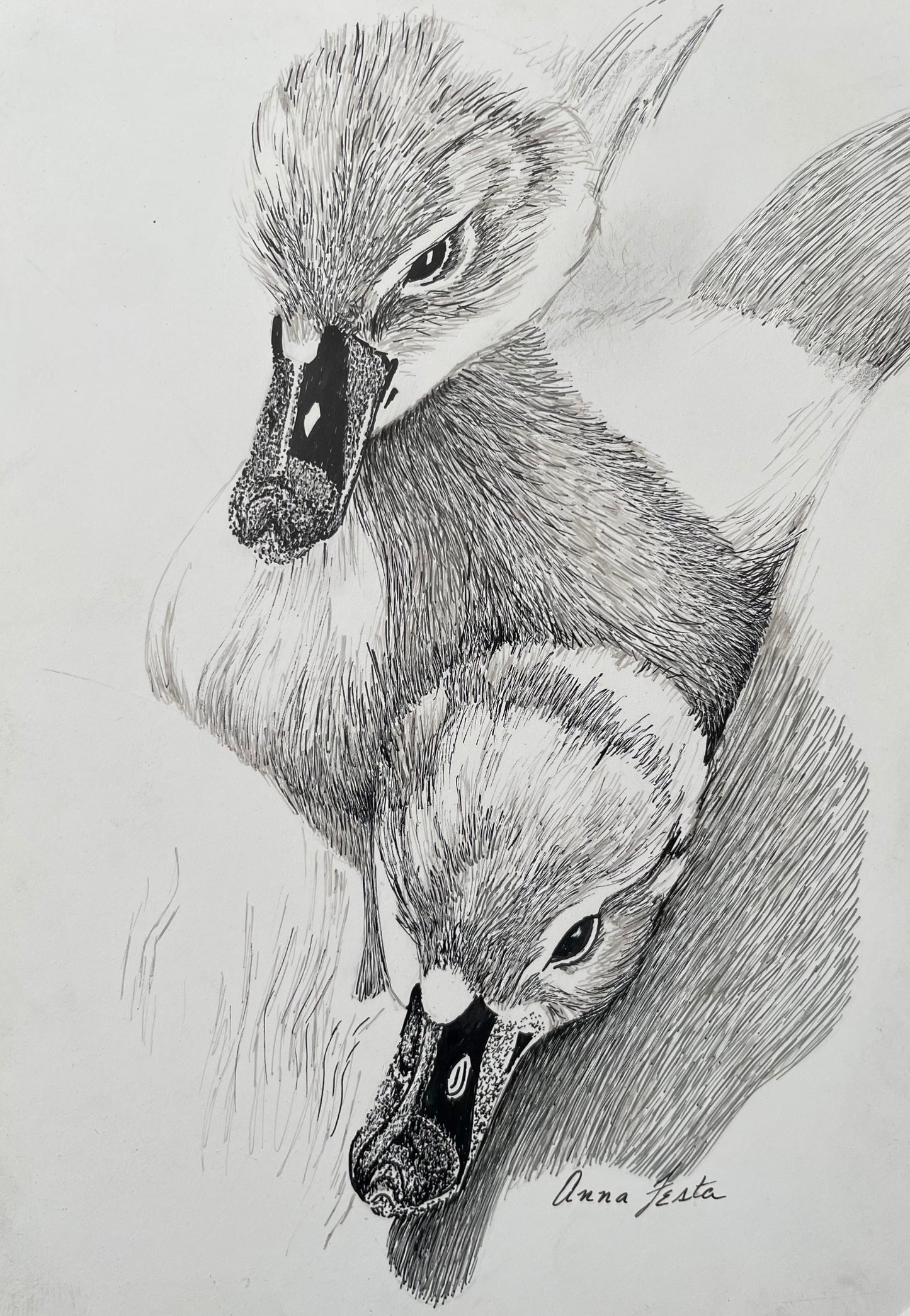 Pen & Ink – Mastering Lines, Textures & Creativity