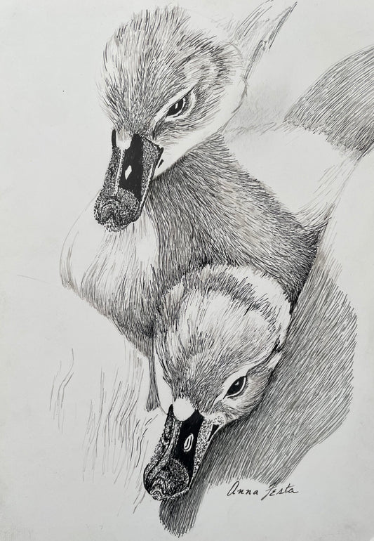 Pen & Ink – Mastering Lines, Textures & Creativity