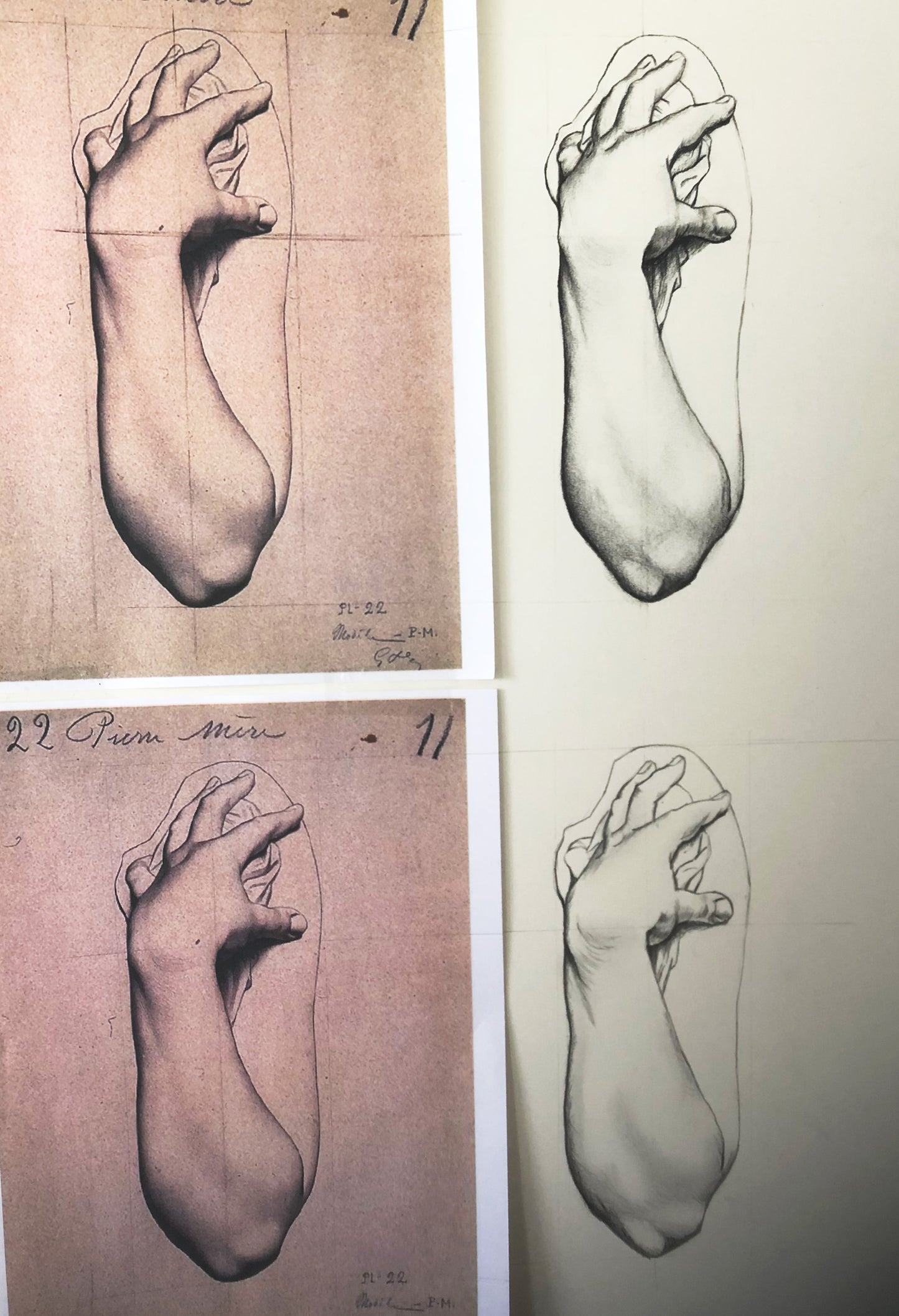 Bargue Drawing Course