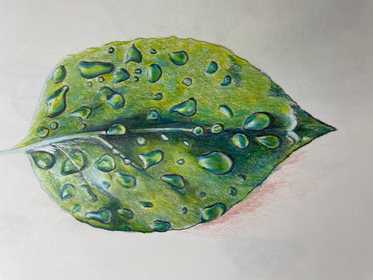 Colored Pencil – From Everyday to Extraordinary