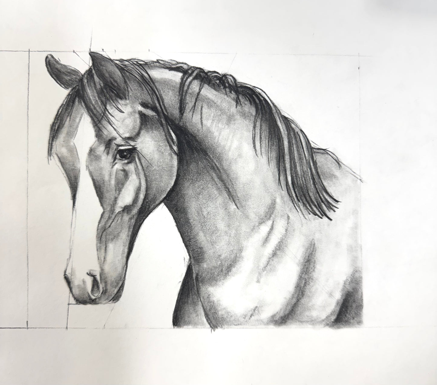 5  Week Introduction to Fundamentals of Drawing