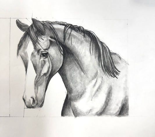 5  Week Introduction to Fundamentals of Drawing